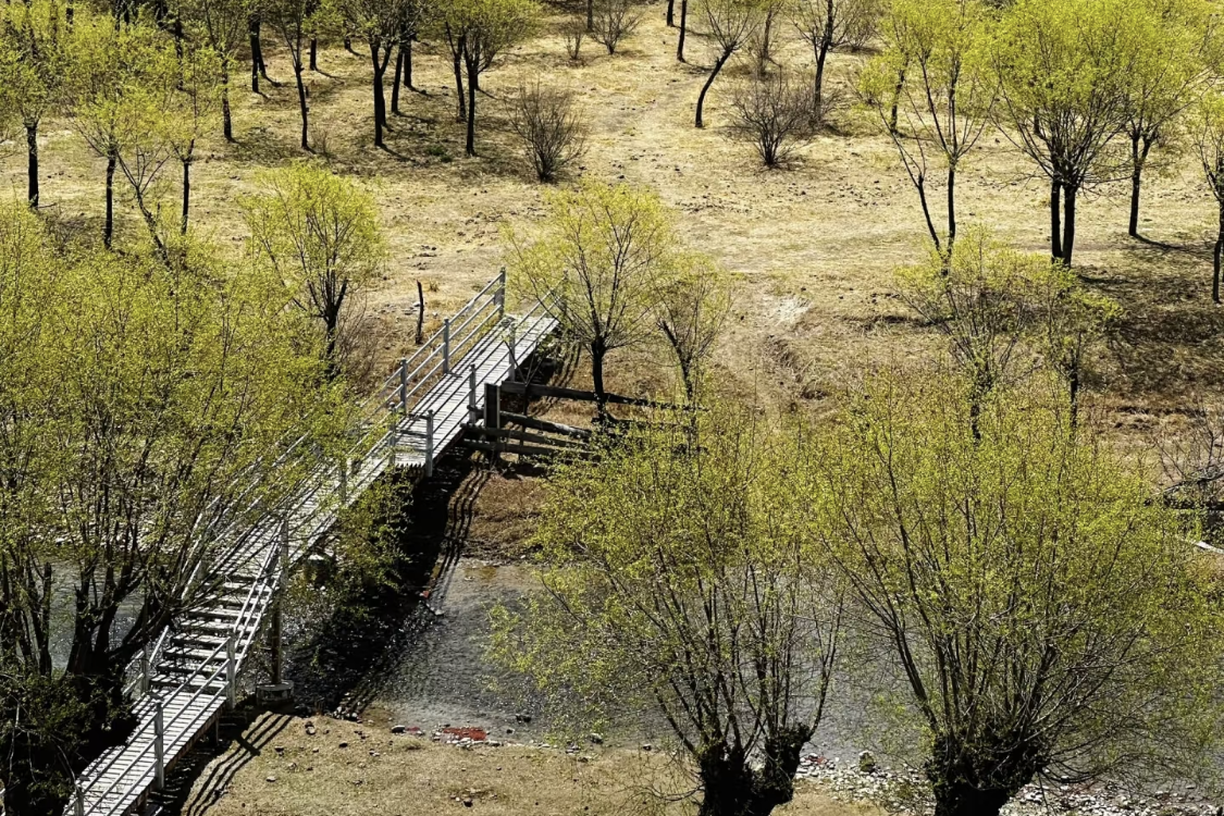 Yani National Wetland Park